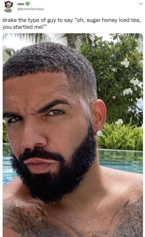 Find the best images of Drake The Type Of Guy, a meme that compares the rapper to a fictional character from a video game. . Drake the type of guy